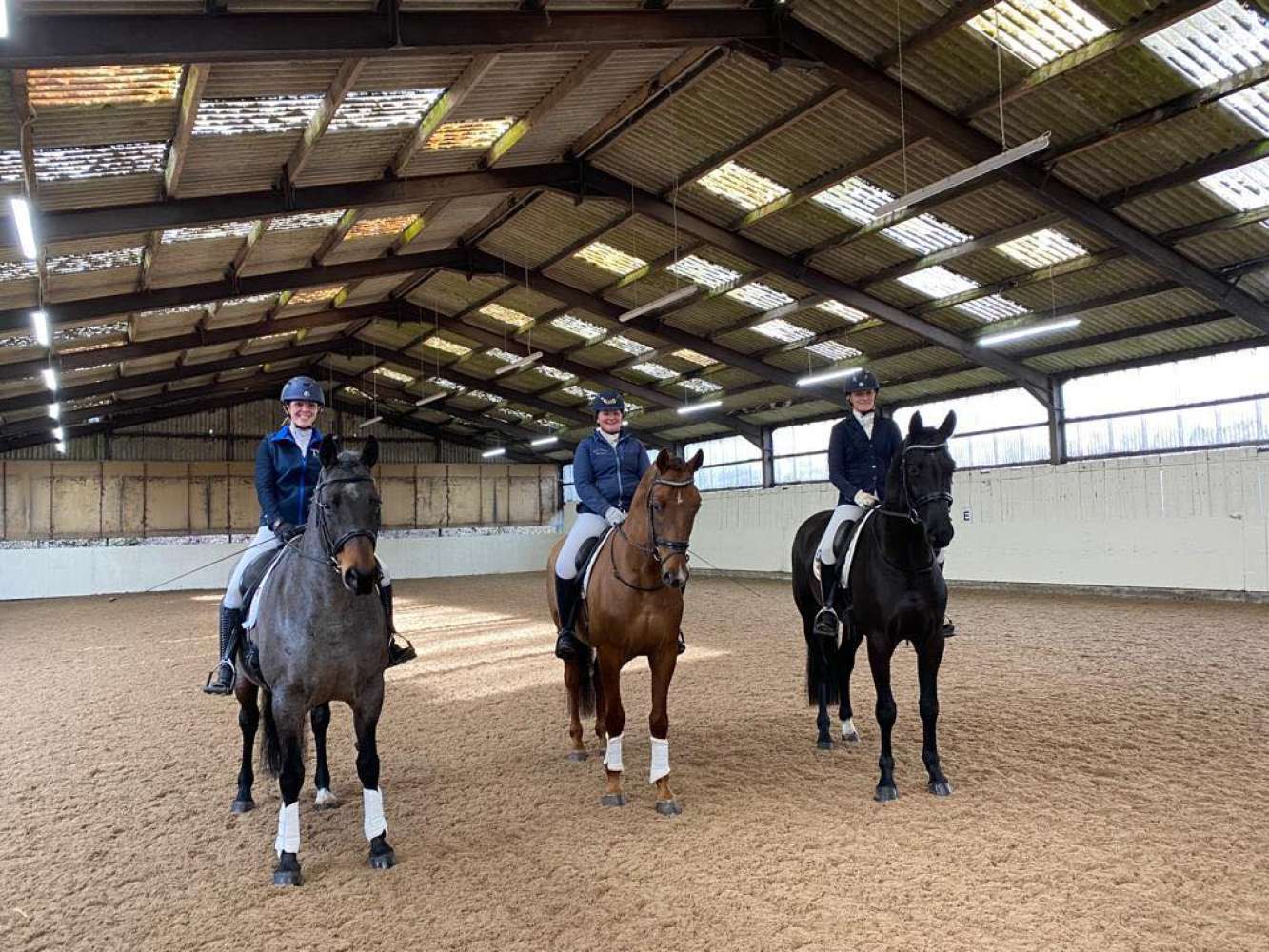 Sponsored rider review of the year - HorseBitBank.com