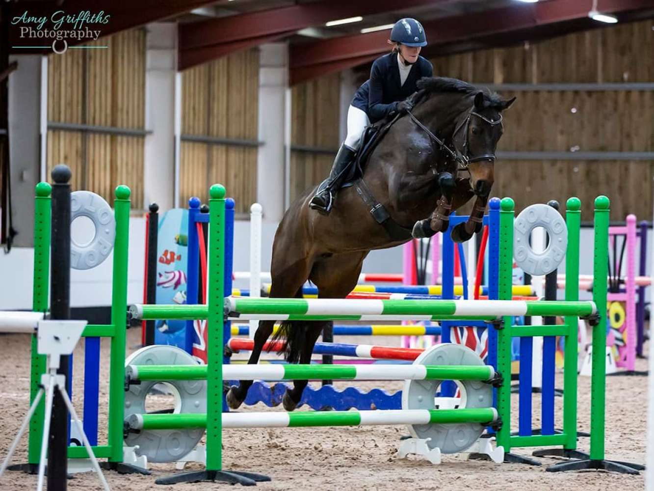 Busting the most common bitting myths - HorseBitBank.com