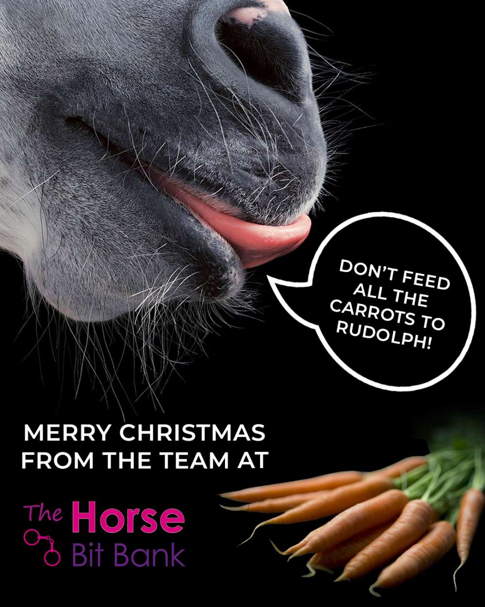 A very Merry Christmas from the Horse Bit Bank!