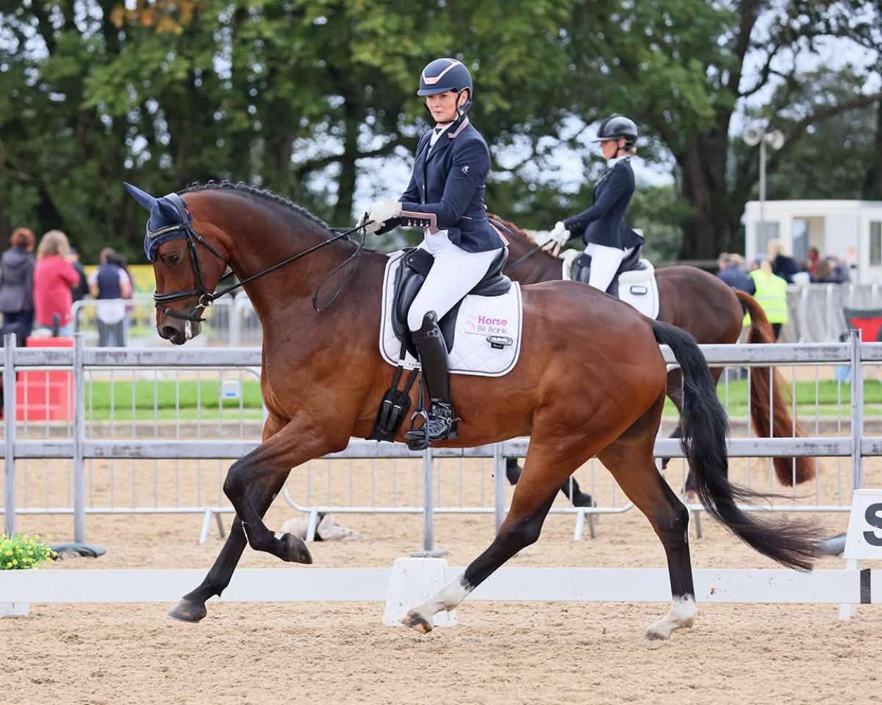 A look back at a season to remember for our sponsored riders ...