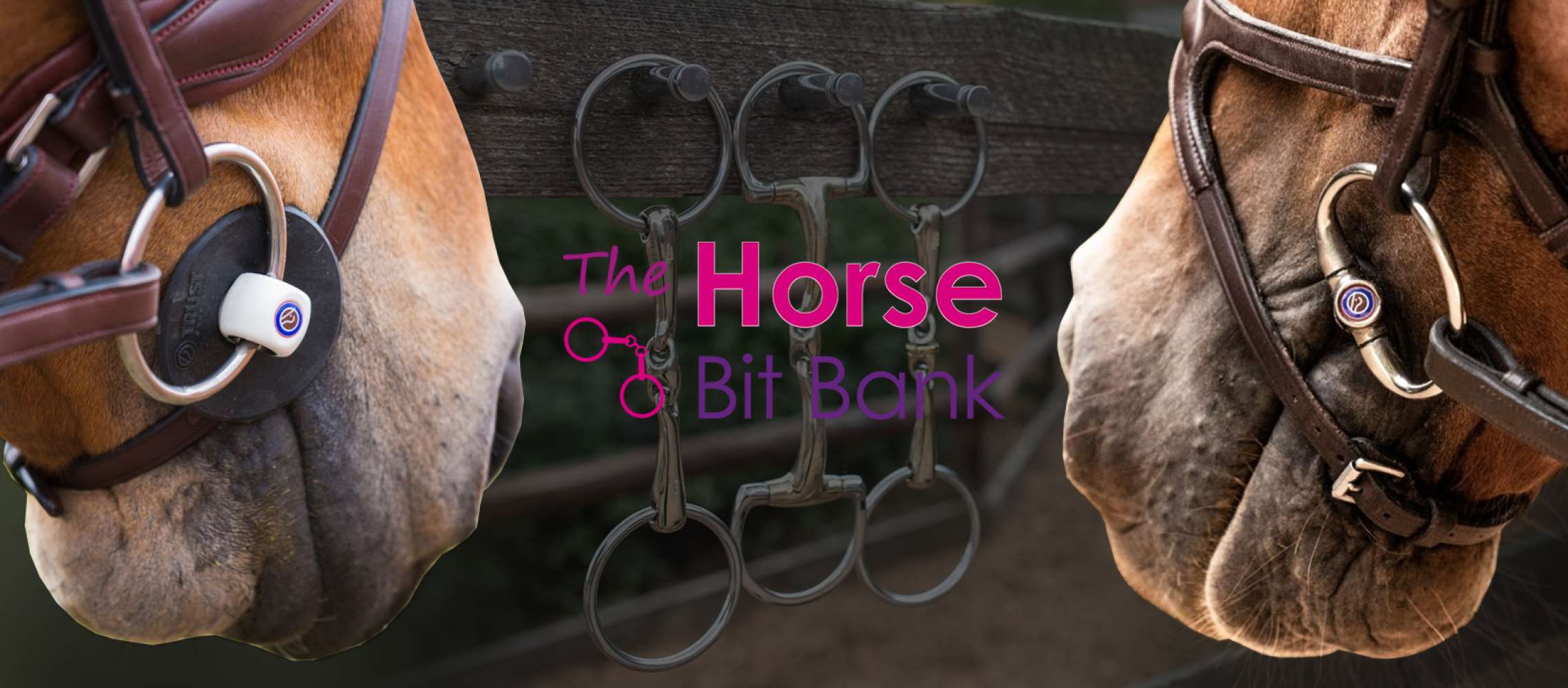 Loose versus fixedring bits which is right for your horse